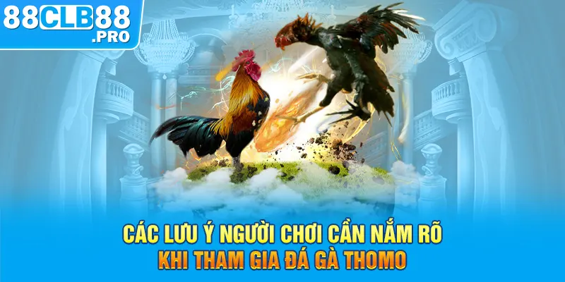 Đá Gà Thomo Trực Tiếp - Sàn Đấu Đá Gà Đẳng Cấp Hàng Đầu 2026 - EVION.WIN