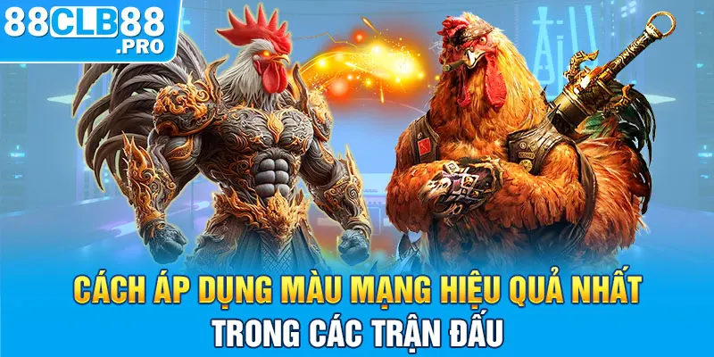 Màu Mạng Đá Gà - Ý Nghĩa Và Cách Áp Dụng Tại Nhà Cái 2026 - EVION.WIN