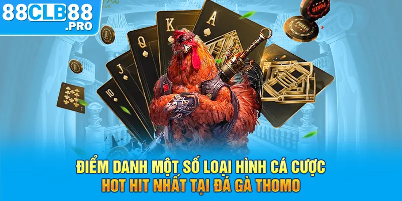 Đá Gà Thomo Trực Tiếp - Sàn Đấu Đá Gà Đẳng Cấp Hàng Đầu 2026 - EVION.WIN