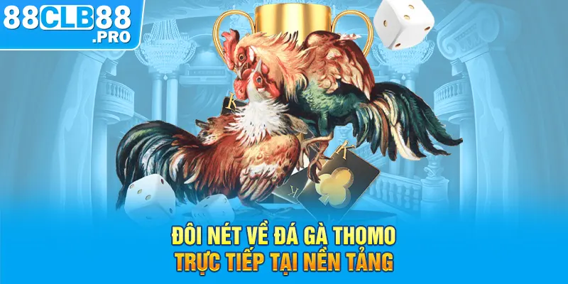 Đá Gà 88 - Nhà Cái 88 CLB - EVION.WIN
