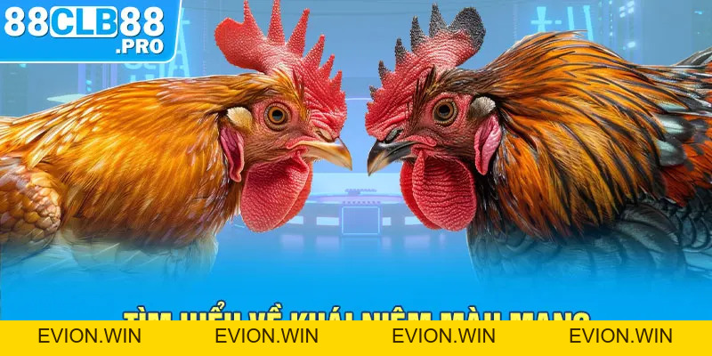 Đá Gà 88 - Nhà Cái 88 CLB - EVION.WIN
