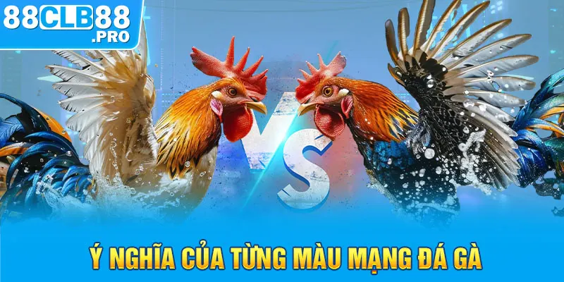 Màu Mạng Đá Gà - Ý Nghĩa Và Cách Áp Dụng Tại Nhà Cái 2026 - EVION.WIN