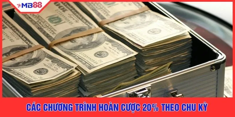 Hoàn Cược 20% - Nhận Ngay 2 Lần Cứu Cánh Khi Thua Đậm - EVION.WIN