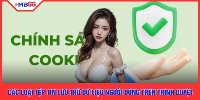Chính Sách Cookie - 3 Điều Quan Trọng Mà Bạn Cần Biết - EVION.WIN