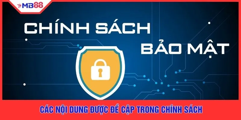 Chính Sách Bảo Mật - 3 Quy Định Quan Trọng Cần Biết - EVION.WIN