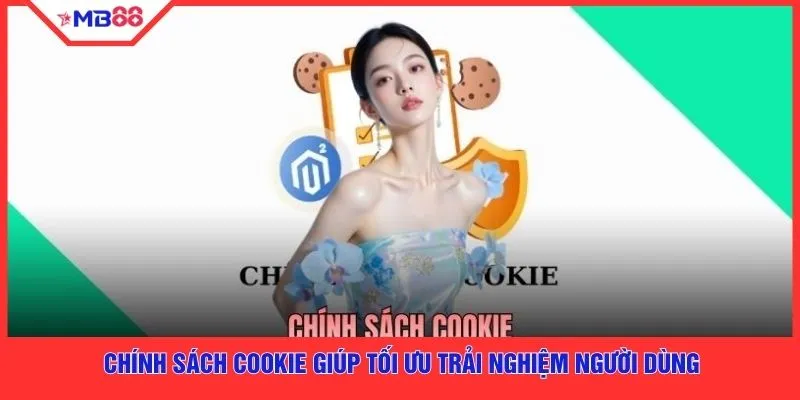 Chính Sách Cookie - 3 Điều Quan Trọng Mà Bạn Cần Biết - EVION.WIN