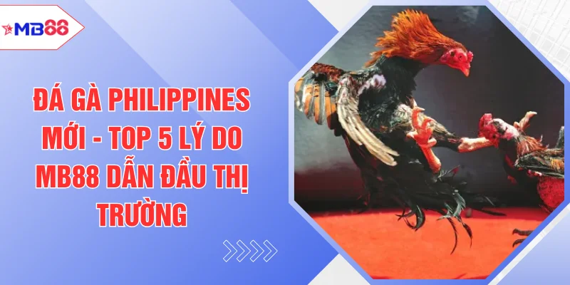 Đá Gà MB88 - Sảnh Cược Dành Cho Người Đam Mê Bộ Môn - EVION.WIN