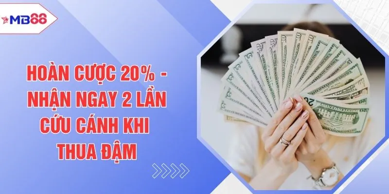 Hoàn Cược 20% - Nhận Ngay 2 Lần Cứu Cánh Khi Thua Đậm - EVION.WIN