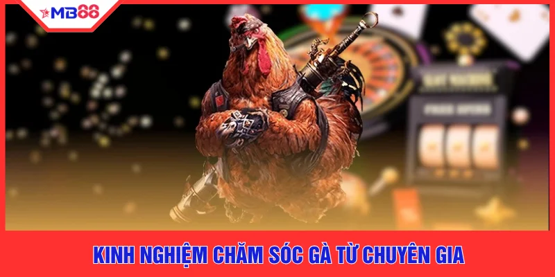 Chiến Kê Huyền Thoại - 4 Linh Kê Lưu Danh Sử Sách Tại MB88 - EVION.WIN