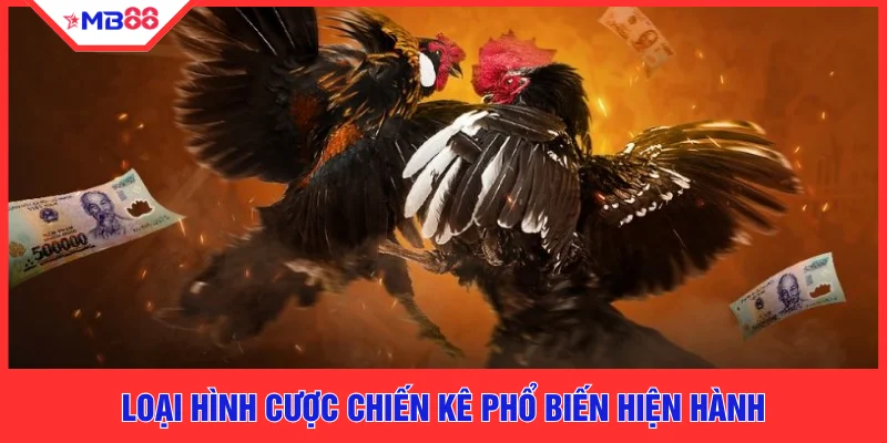 Kèo Đá Gà Thắng Lớn Cùng MB88 Với 5 Bí Quyết Vàng Hay - EVION.WIN