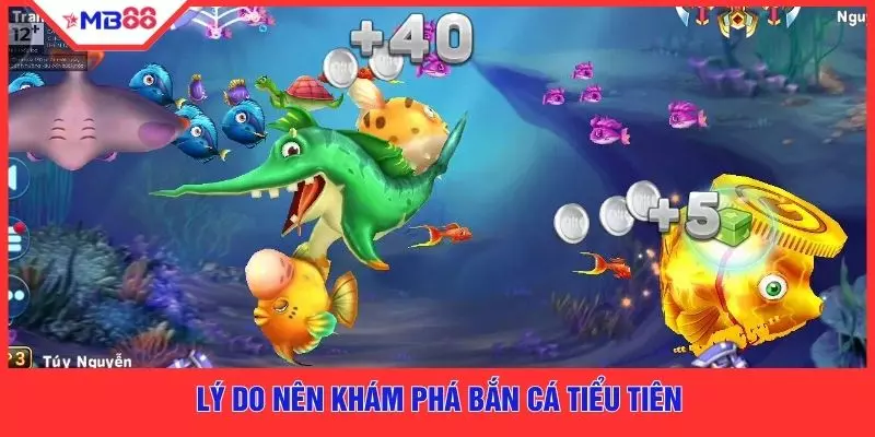 Bắn Cá Tiểu Tiên MB88  - Cuộc Phiêu Lưu Thần Thoại - EVION.WIN