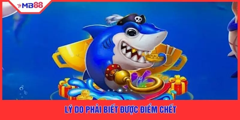 Điểm Chết Cá Lớn MB88 - Tuyệt Kỹ Ngắm Bắn Chuẩn Xác  - EVION.WIN