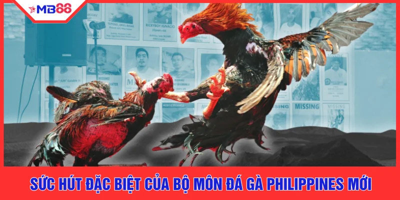 Đá Gà Philippines Mới - Top 5 Lý Do MB88 Dẫn Đầu Thị Trường - EVION.WIN