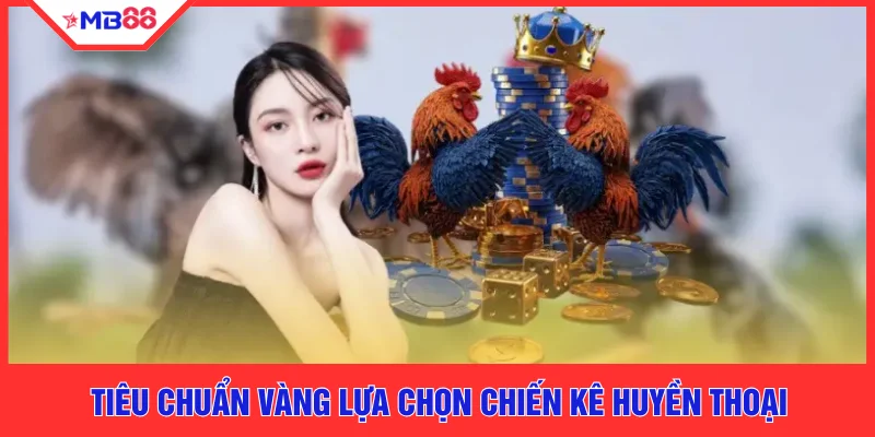 Chiến Kê Huyền Thoại - 4 Linh Kê Lưu Danh Sử Sách Tại MB88 - EVION.WIN