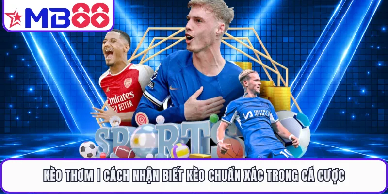 Kèo Thơm | Cách Nhận Biết Kèo Chuẩn Xác Trong Cá Cược - EVION.WIN