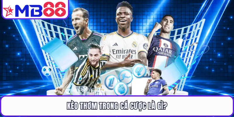 Kèo Thơm | Cách Nhận Biết Kèo Chuẩn Xác Trong Cá Cược - EVION.WIN