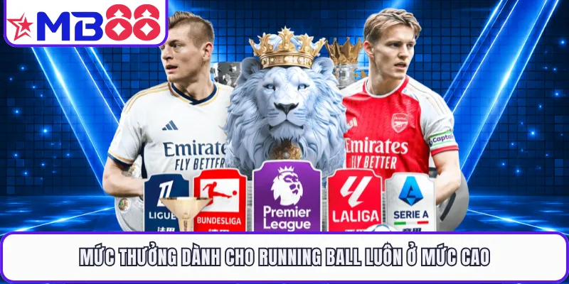 Kèo Rung MB88 - Bí Quyết Chốt Hạ Tỷ Lệ Cược Trực Tiếp 2026 - EVION.WIN